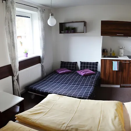 - Kouty Nad Desnou Apartment